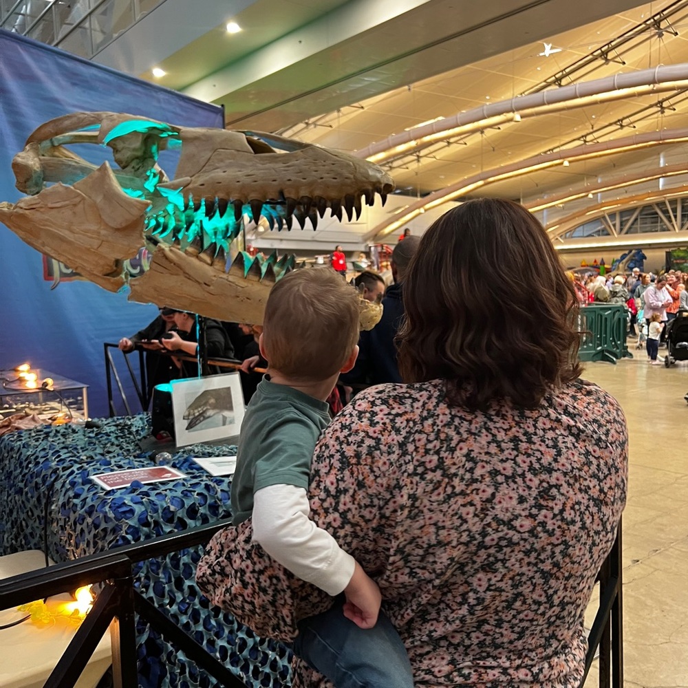 Meet your Posher, Laura